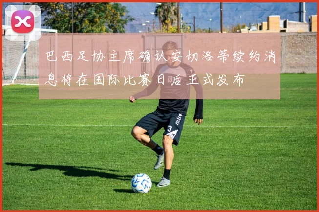 巴西足协主席确认安切洛蒂续约消息将在国际比赛日后正式发布