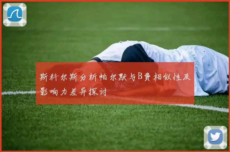 斯科尔斯分析帕尔默与B费相似性及影响力差异探讨