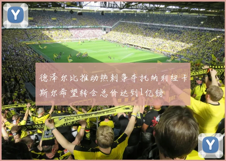 德泽尔比推动热刺争夺托纳利纽卡斯尔希望转会总价达到1亿镑