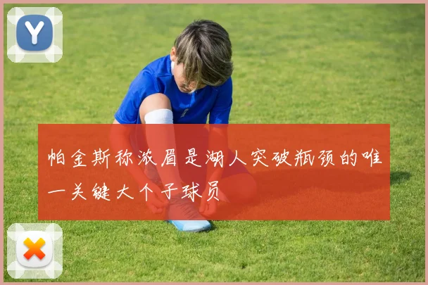 帕金斯称浓眉是湖人突破瓶颈的唯一关键大个子球员